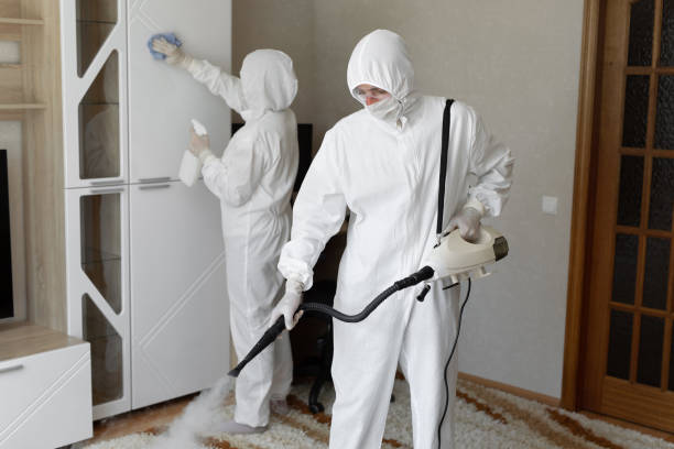 Mold Testing and Removal in Phillipsburg, KS