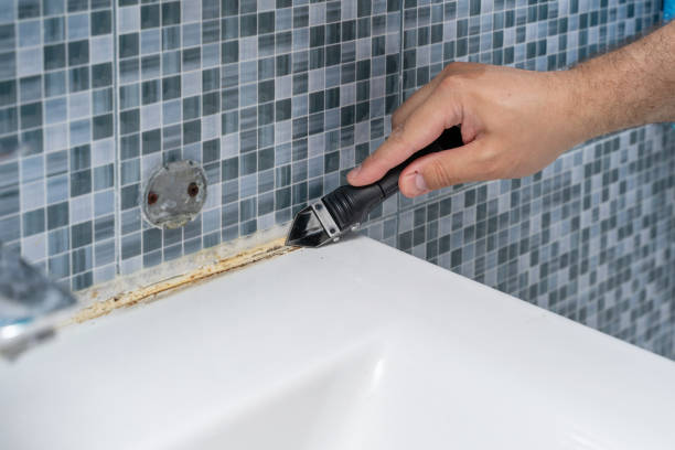 Best Mold Cleaning Services  in Phillipsburg, KS