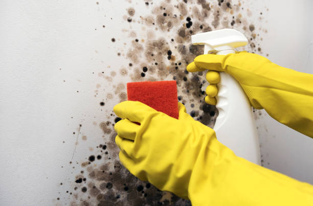 Water Damage Restoration in Phillipsburg, KS